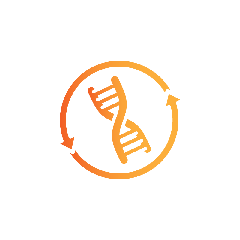 بروتوكول الشباب الدائم 12