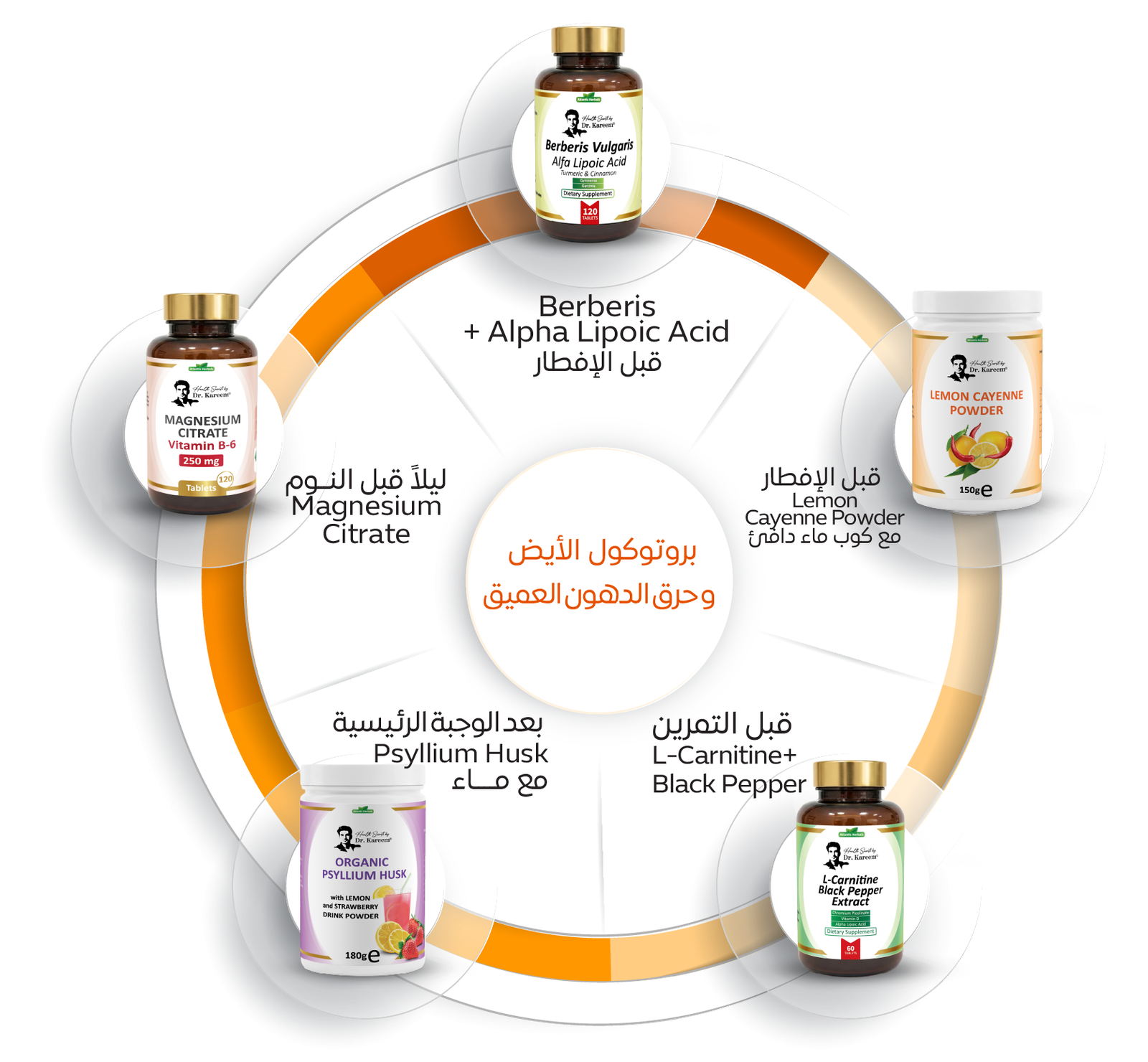 ‏‏بروتوكول الأيض 22 06