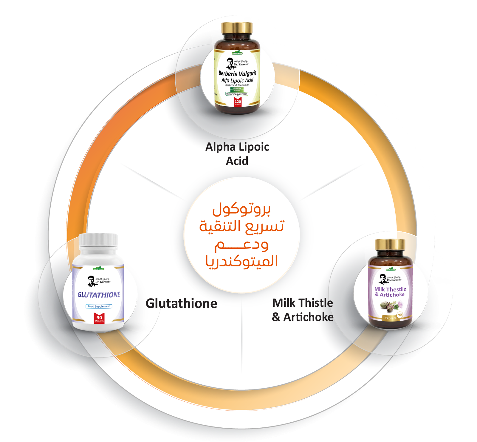 ‏‏بروتوكول التنقية 22 08