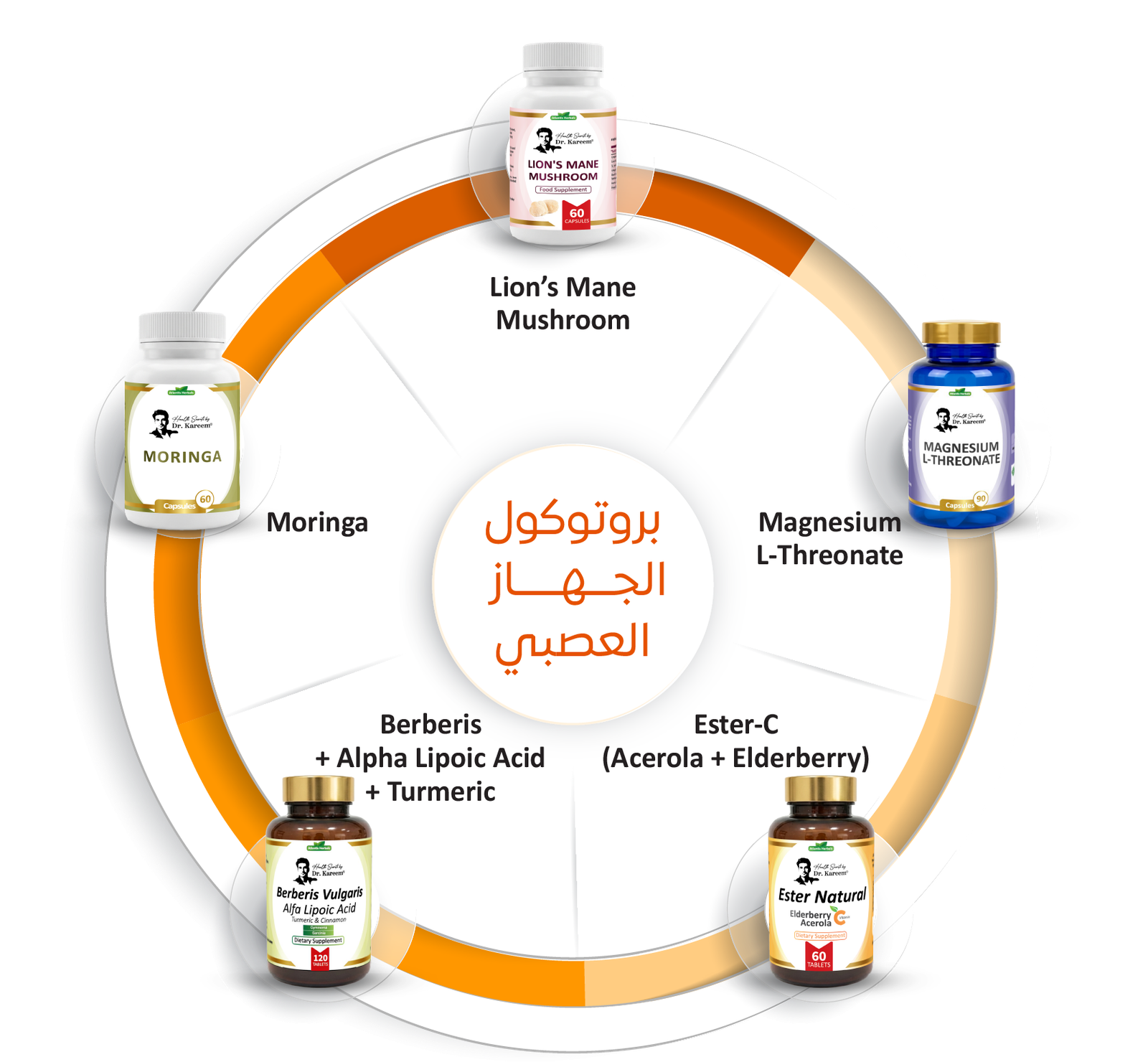 ‏‏بروتوكول الجهاز العصبي 22 07