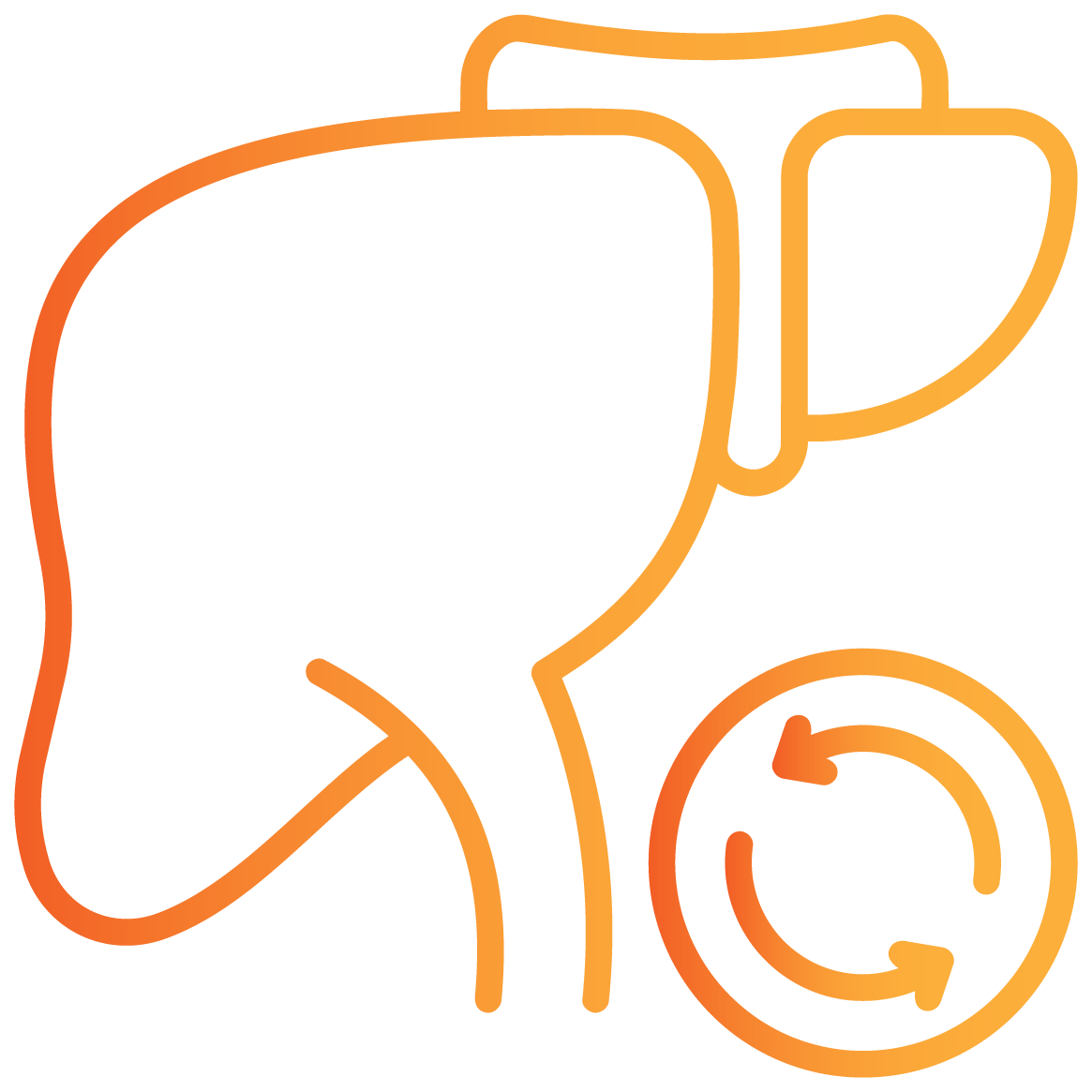 الشباب الحقيقي