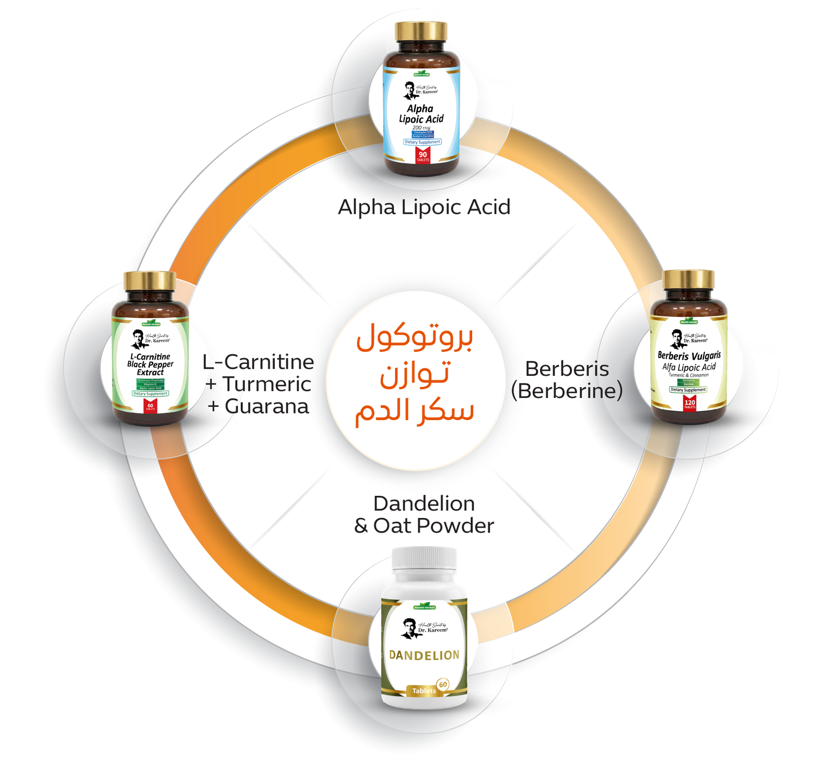 مكونات بروتوكول ضبط الوزن