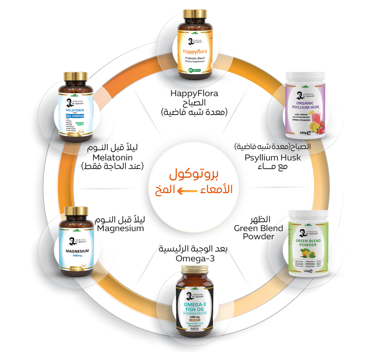 ‏‏بروتوكول الأمعاء المخ 22 07