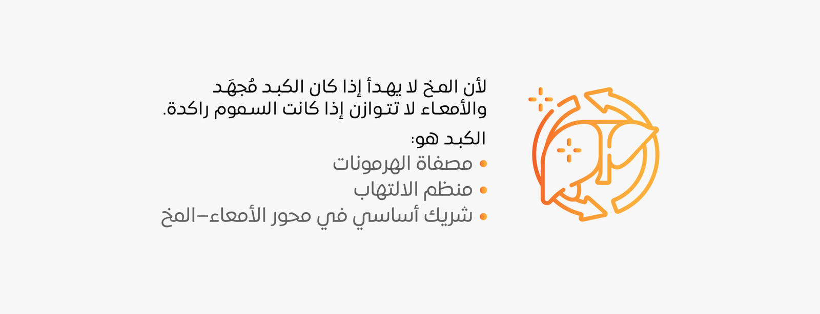 ‏‏بروتوكول الأمعاء المخ الكبد22 08 Scaled