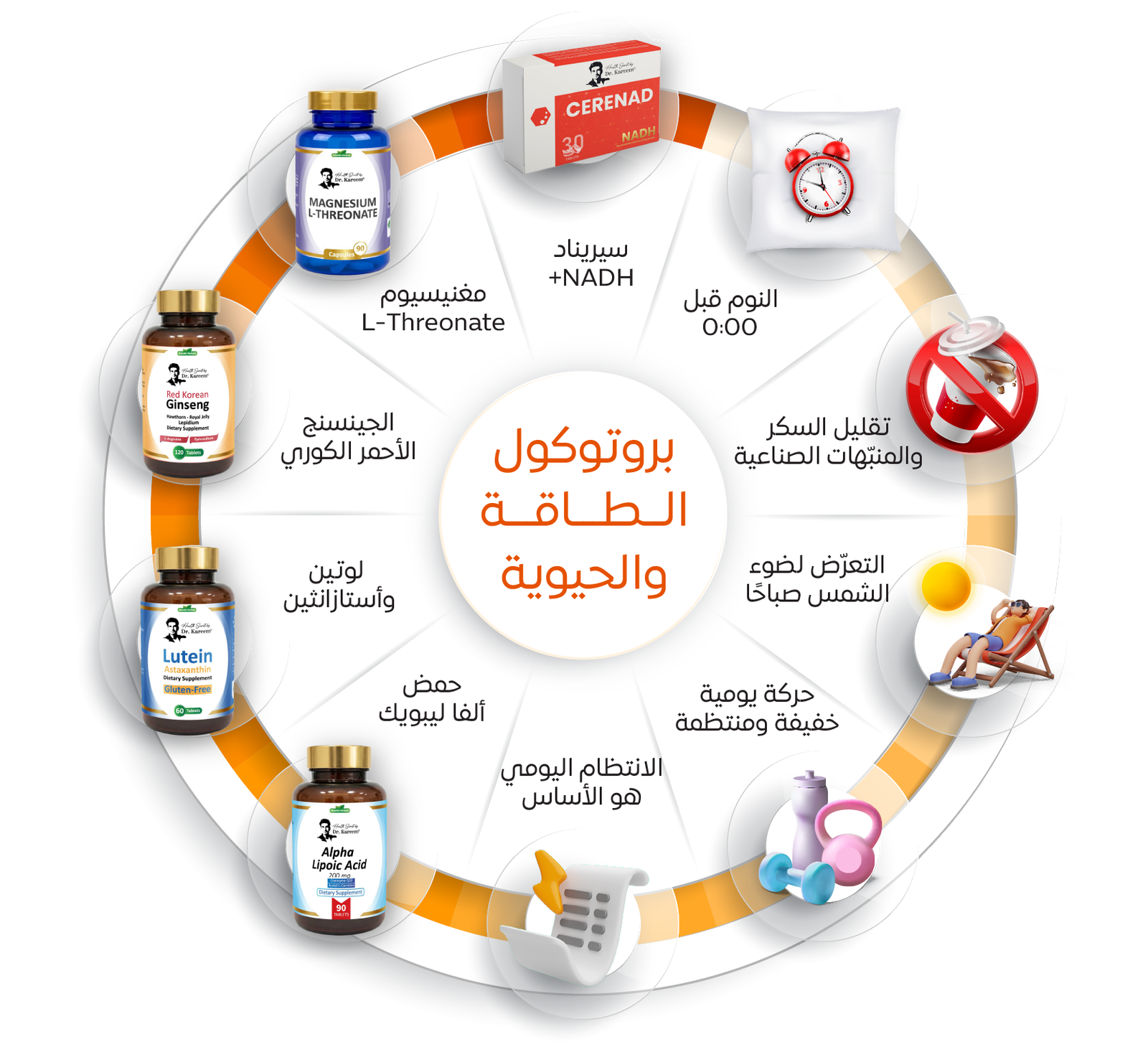مكونات بروتوكول ضبط الوزن