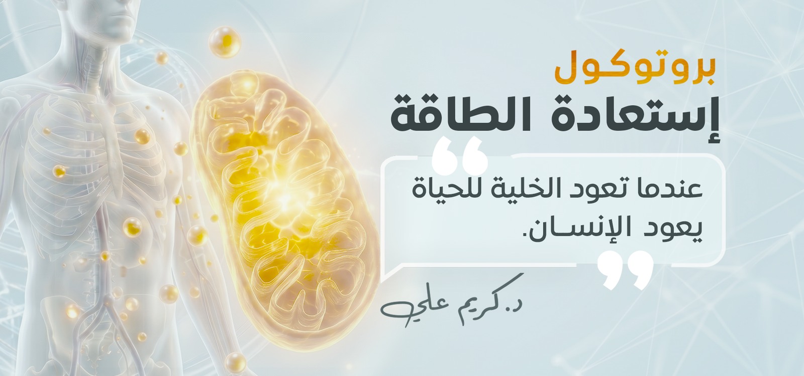 بروتوكول الطاقة والحيوية