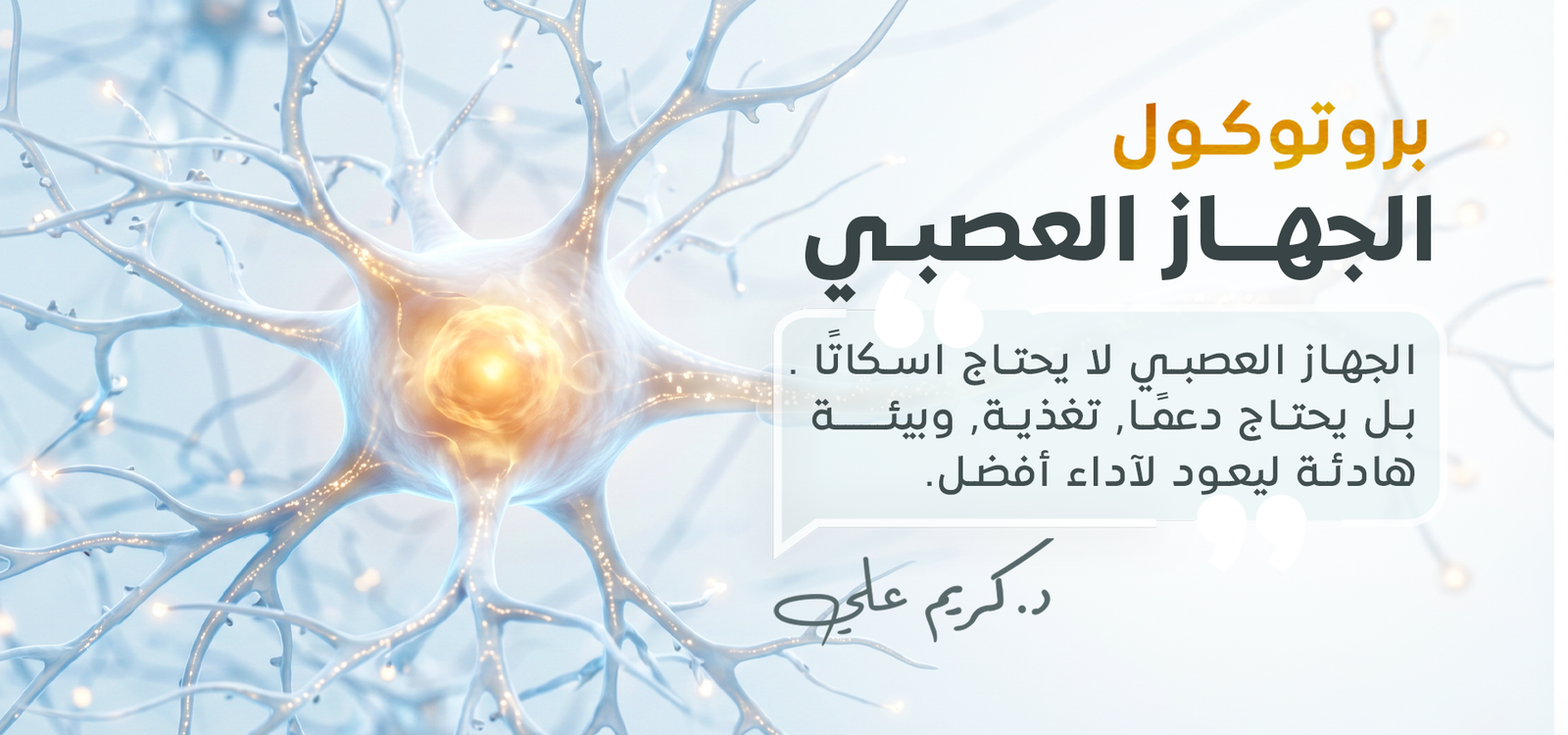 بروتوكول الجهاز العصبي