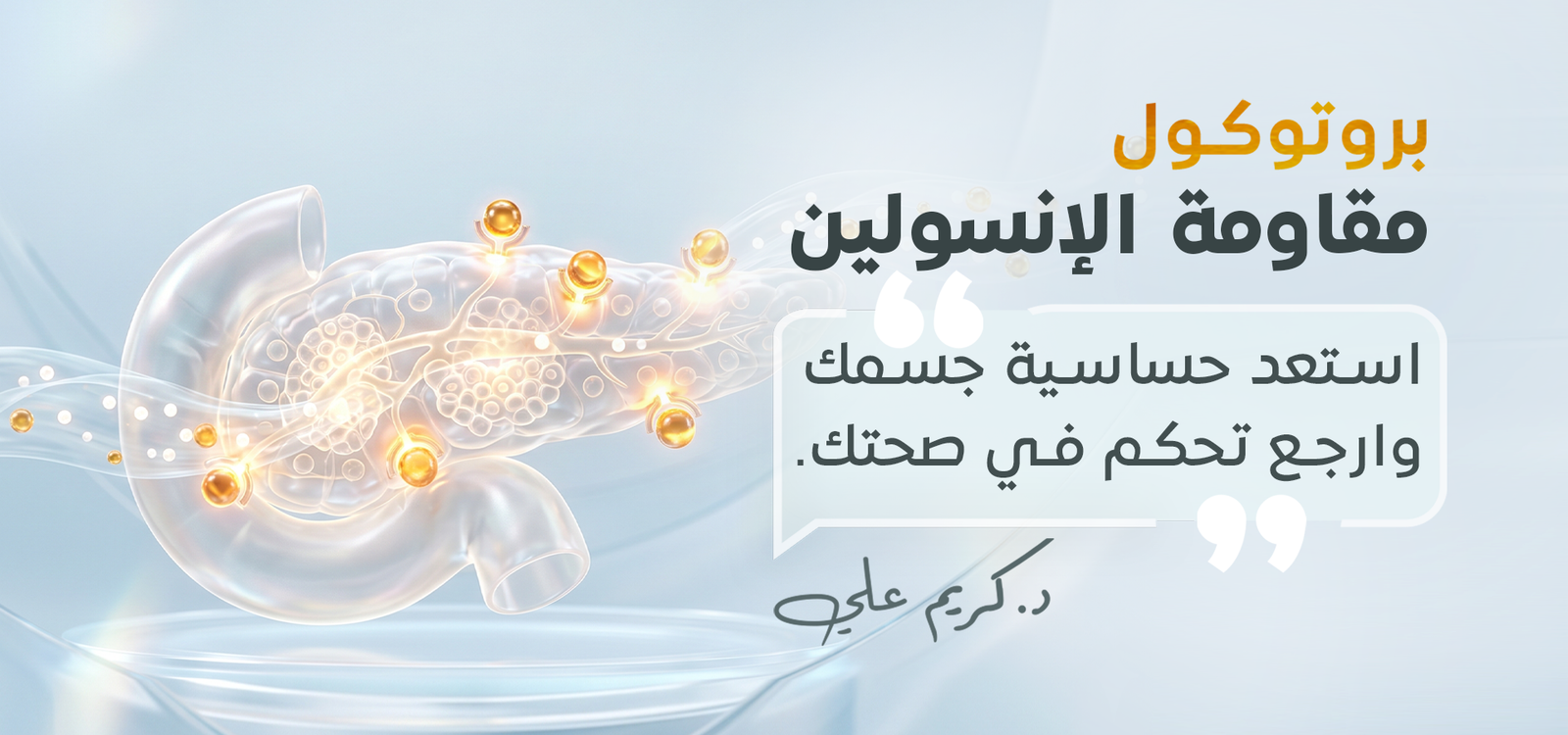 بروتوكول مقاومة الإنسولين