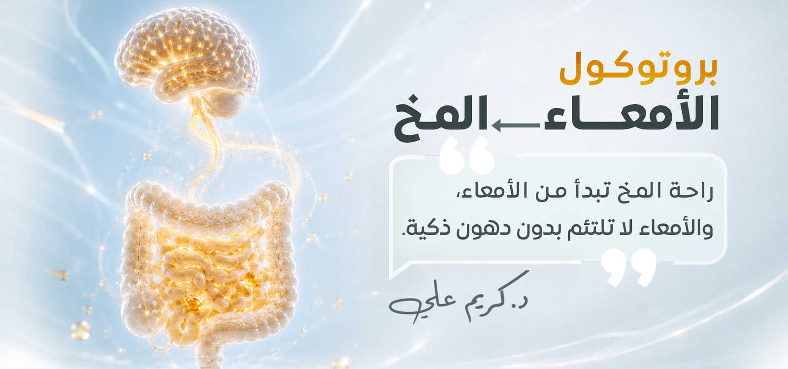 بروتوكول الأمعاء إلى المخ