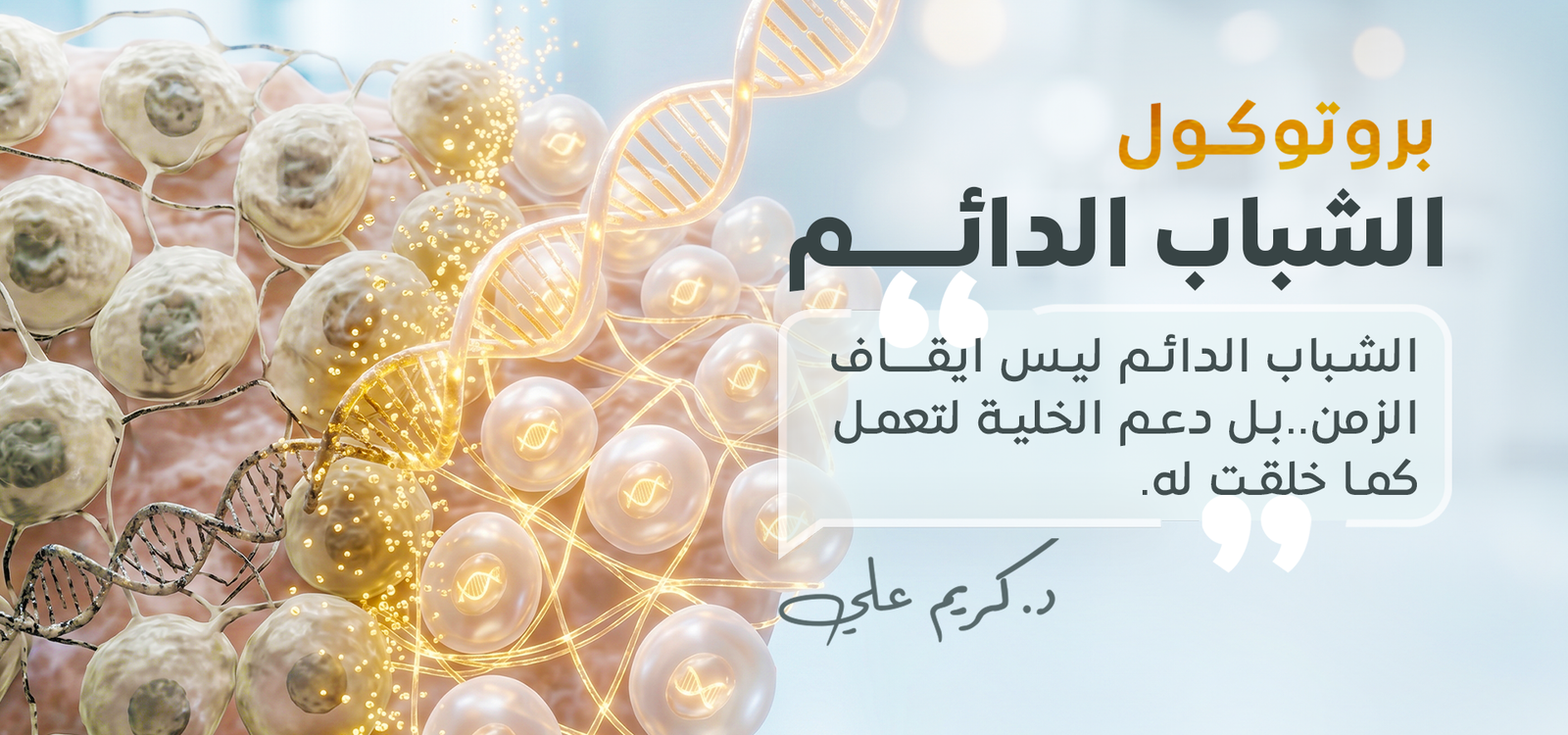 بروتوكول الشباب الدائم