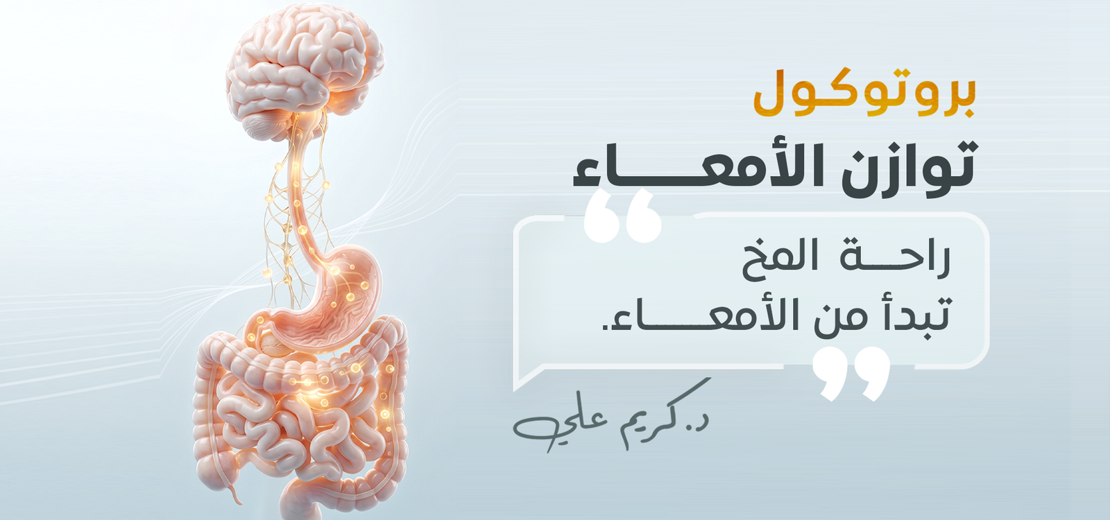 بروتوكول توازن الأمعاء