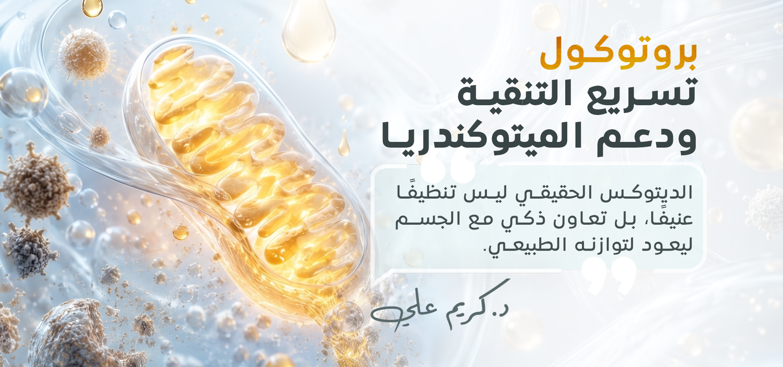 بروتوكول دعم الميتوكندريا