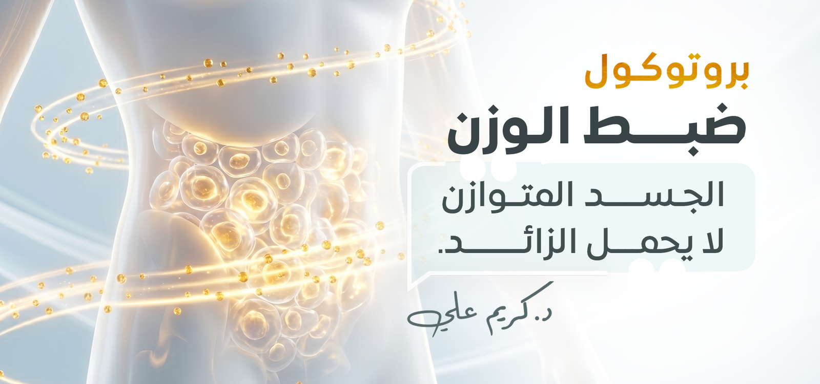 بروتوكول ضبط الوزن