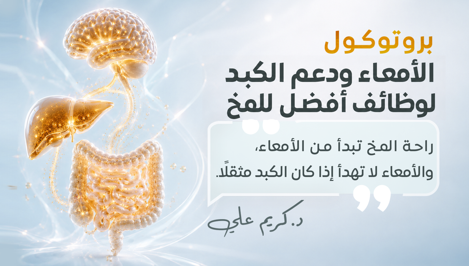 بروتوكول الأمعاء إلى المخ ودعم الكبد
