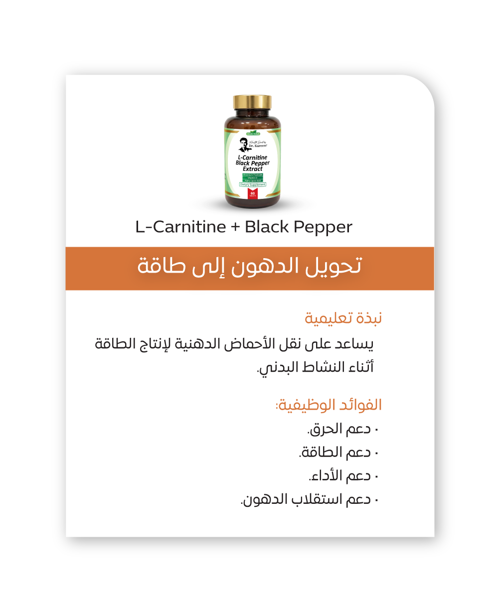 بروتوكول الأيض وحرق الدهون 12