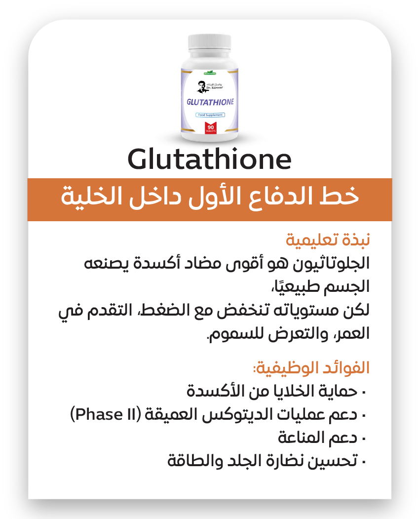 التنقية ودعم الميتوكندريا
