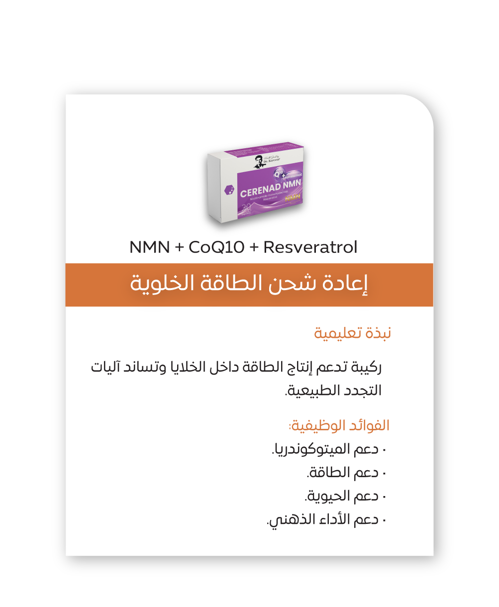 بروتوكول الشباب الدائم 10