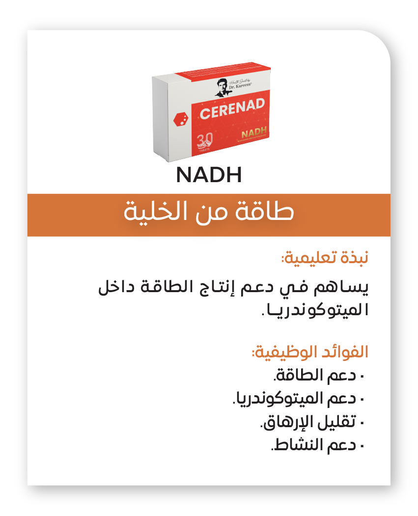 بروتوكول الطاقة والحيوية 13