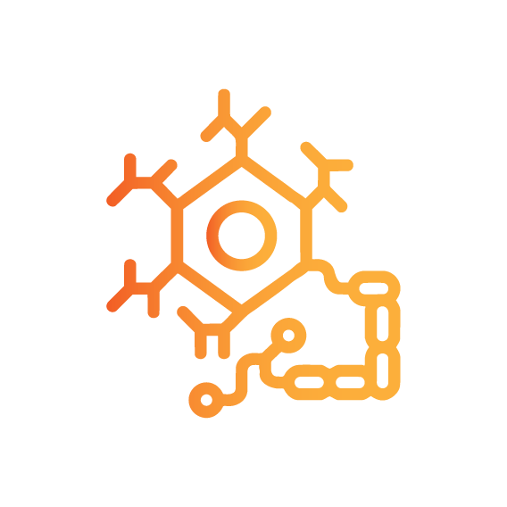 Protocol