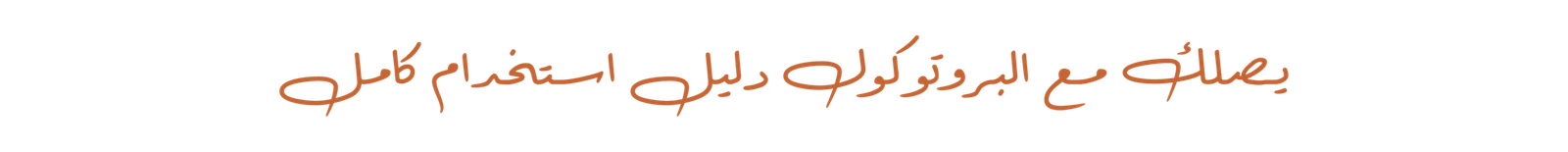 يصلك مع البروتوكول دليل استخدام كامل
